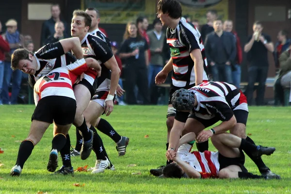 Rugby wedstrijd — Stockfoto