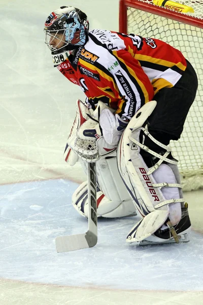 Hockey sobre hielo — Foto de Stock