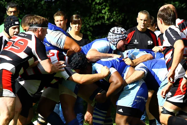 Männer-Rugby — Stockfoto