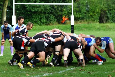 Mens rugby