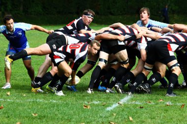 Mens rugby