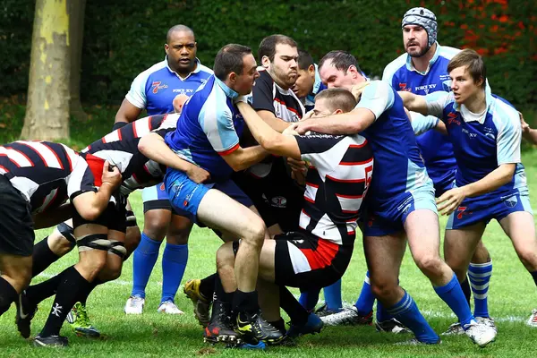 Mens rugby — Stok fotoğraf