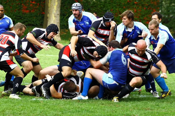 Rugby masculin — Photo