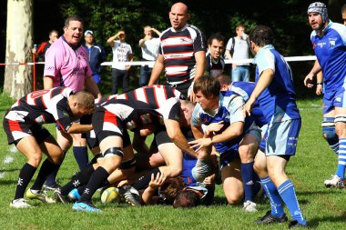 Mens rugby