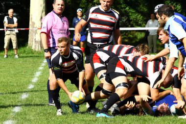 Mens rugby