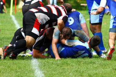 Mens rugby