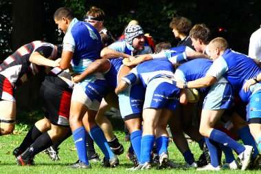 Mens rugby