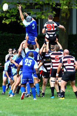 Mens rugby