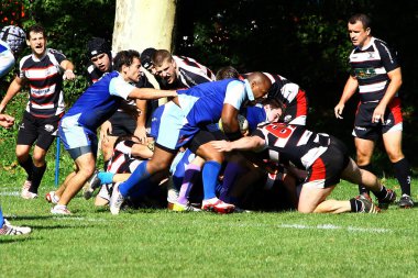 Mens rugby