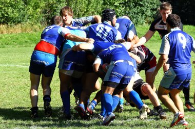 Mens rugby