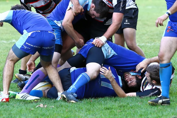 Hombres rugby —  Fotos de Stock