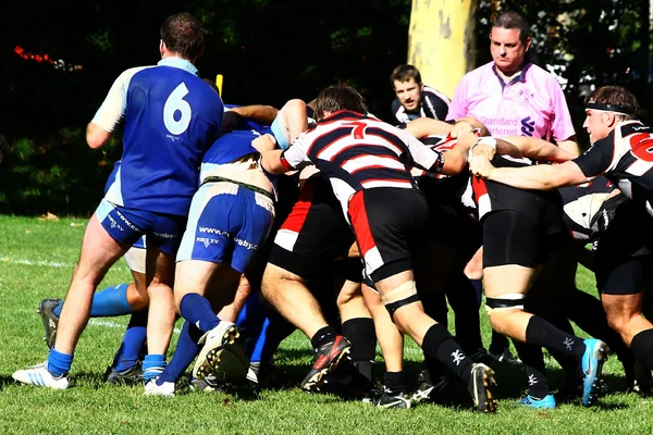 Męskie rugby — Zdjęcie stockowe
