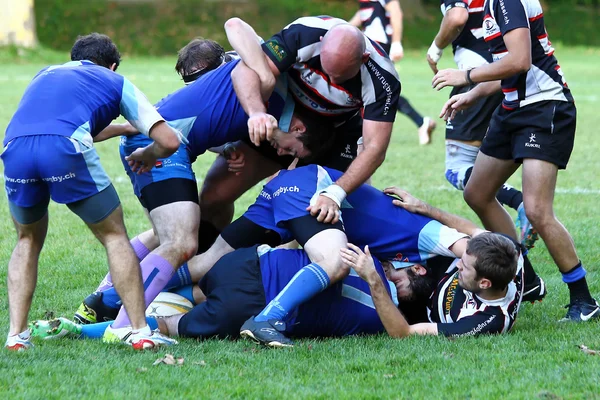 Mens rugby — Stockfoto