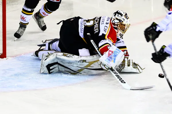 Hockey sobre hielo — Foto de Stock