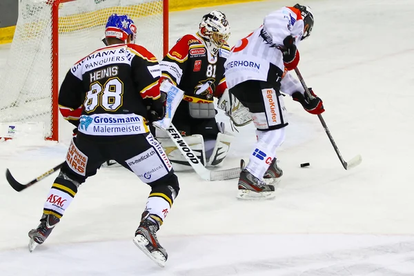 Hockey sobre hielo —  Fotos de Stock