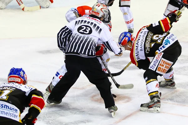 Hockey sobre hielo —  Fotos de Stock