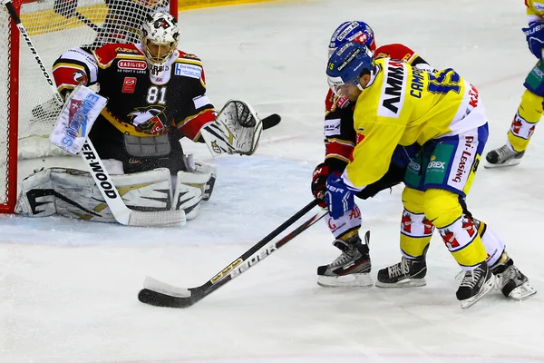 Hockey sobre hielo — Foto de Stock