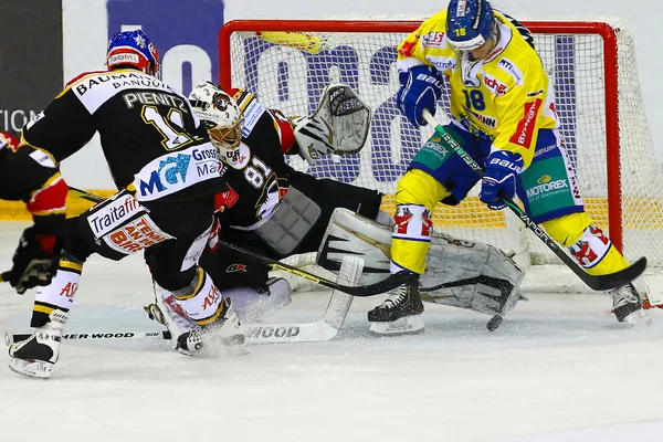 Hockey sobre hielo — Foto de Stock