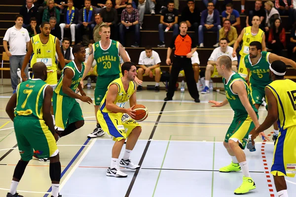 Baloncesto — Foto de Stock