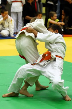 Judo Turnier