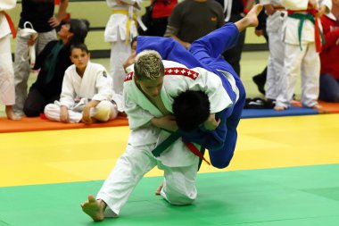Judo Turnier