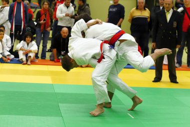 Judo Turnier