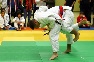 Judo Turnier