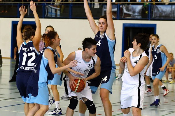 Juego de baloncesto — Foto de Stock
