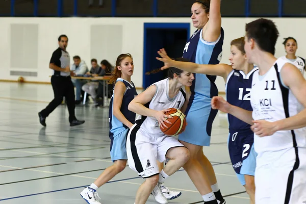 Basketbalwedstrijd — Stockfoto