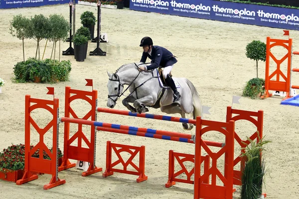 Horse jumping — Stock Photo, Image