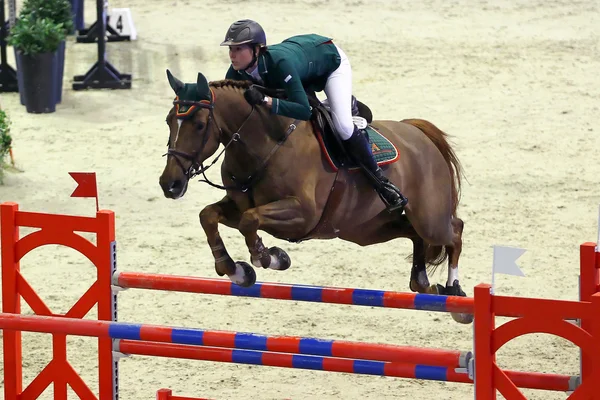 Horse jumping — Stock Photo, Image