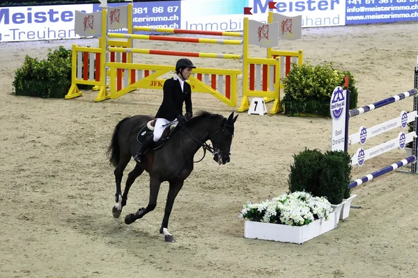 Horse jumping — Stock Photo, Image