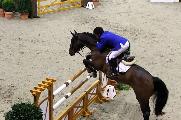 Horse jumping — Stock Photo, Image