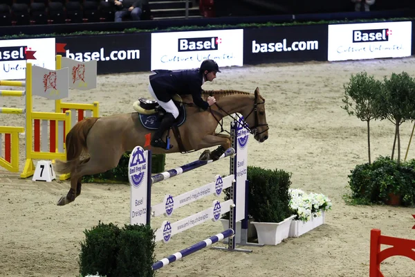 Horse jumping — Stock Photo, Image