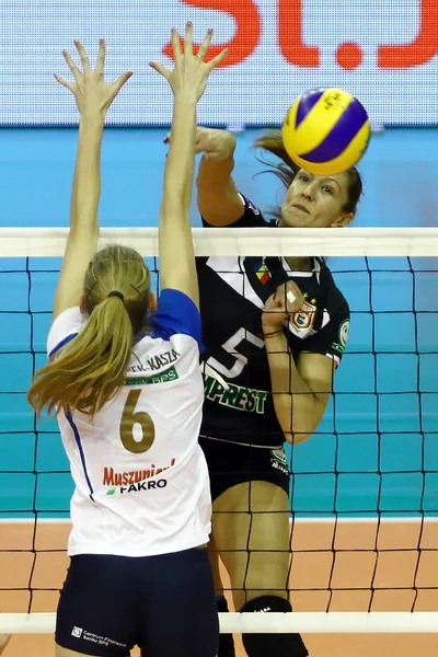 Volleyball game — Stock Photo, Image