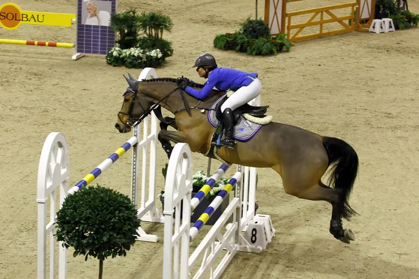 Horse jumping — Stock Photo, Image