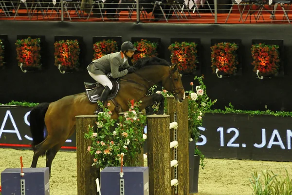 Horse jumping — Stock Photo, Image