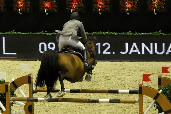 Horse jumping — Stock Photo, Image