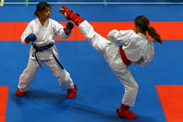Karate harcos akcióban — Stock Fotó