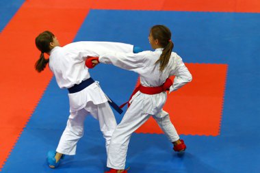 Karate savaşçıları eylem