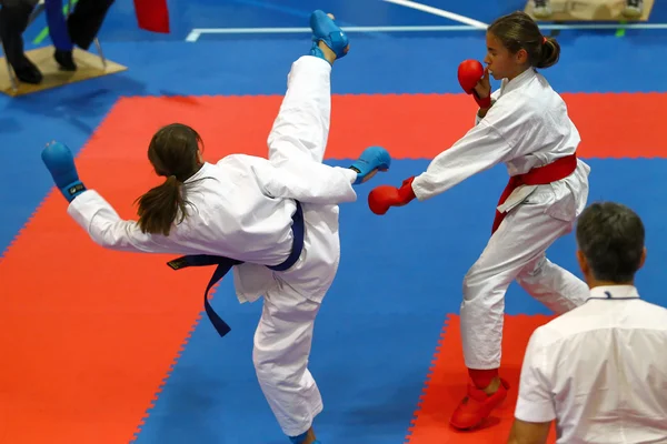 Karate strijders in actie — Stockfoto