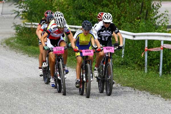 Mountainbike — Stock Photo, Image