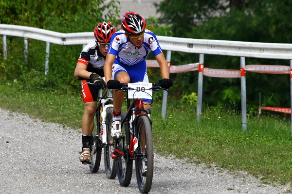 Mountainbike — Stock Photo, Image