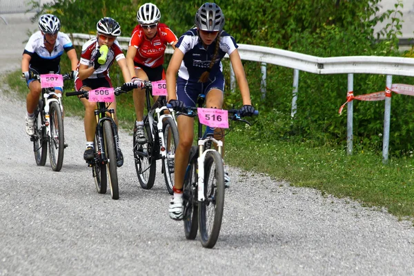 Mountainbike — Stock Photo, Image