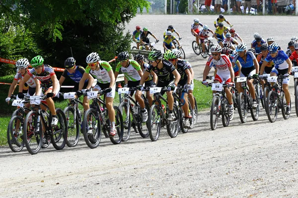 Bicicletas de montanha — Fotografia de Stock