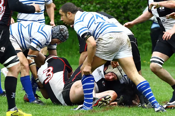 Mecz rugby — Zdjęcie stockowe