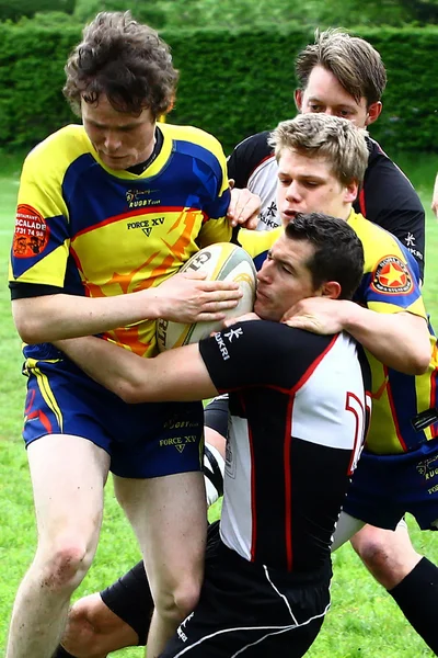 Rugby game — Stock Photo, Image