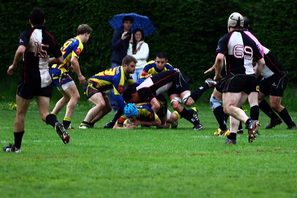 Meczu rugbyRagbi maçı — Stok fotoğraf