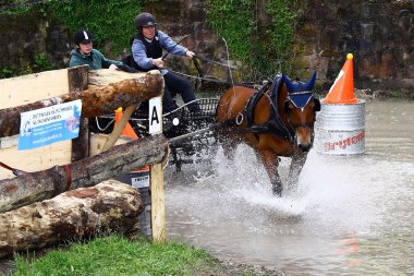 atları turnuva sürüş