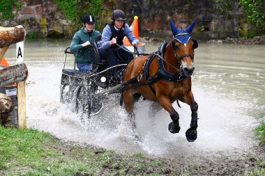 atları turnuva sürüş